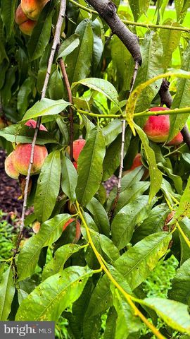 1069 CHEWS LANDING, Laurel Springs, NJ 08021