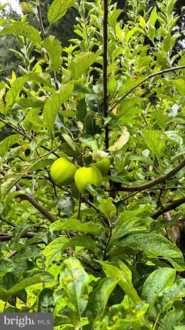 1069 CHEWS LANDING, Laurel Springs, NJ 08021