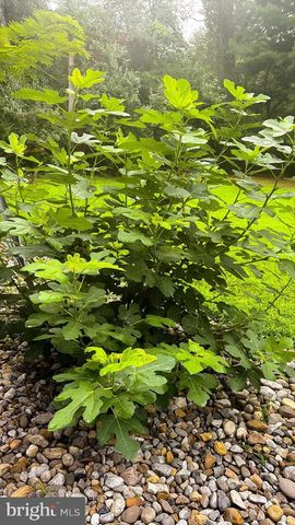 1069 CHEWS LANDING, Laurel Springs, NJ 08021