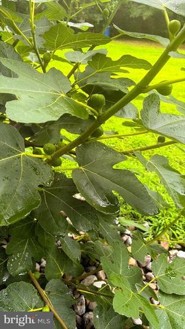 1069 CHEWS LANDING, Laurel Springs, NJ 08021