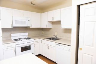 315 E 19th Avenue, 1, Columbus, OH 43201