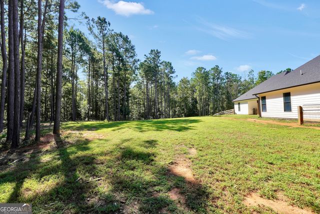 787 Silver Dollar Road, Milner, GA 30257