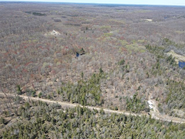 11401 Little George Lake Road, Gladwin, MI 48624