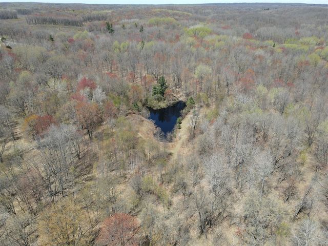 11401 Little George Lake Road, Gladwin, MI 48624