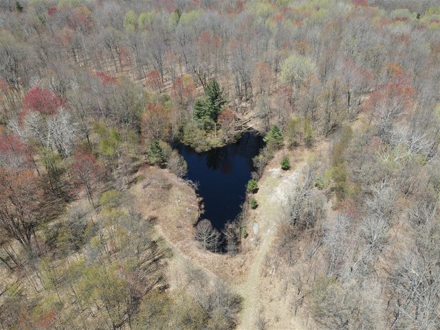 11401 Little George Lake Road, Gladwin, MI 48624