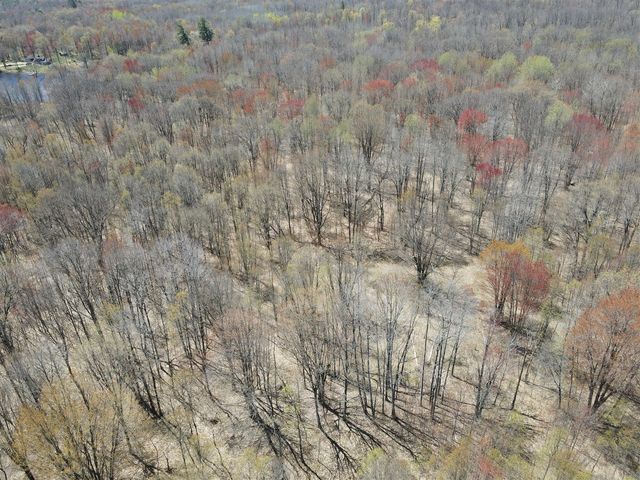 11401 Little George Lake Road, Gladwin, MI 48624
