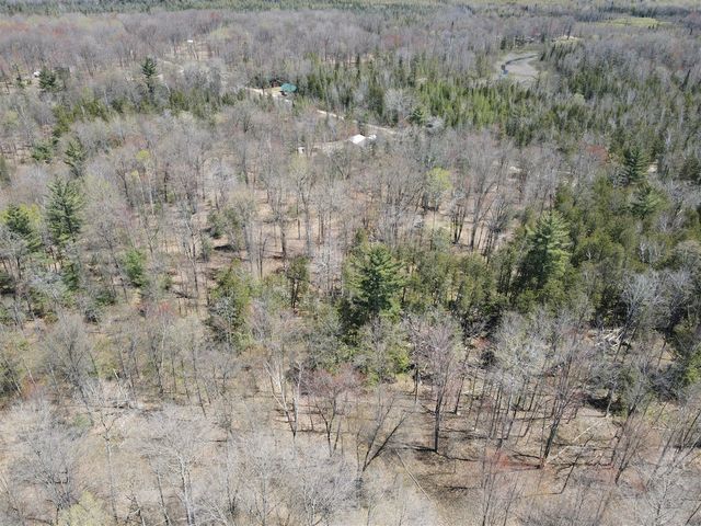 11401 Little George Lake Road, Gladwin, MI 48624
