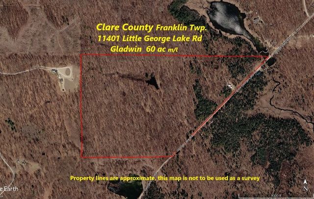 11401 Little George Lake Road, Gladwin, MI 48624