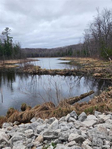 11401 Little George Lake Road, Gladwin, MI 48624
