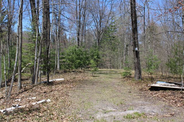 11401 Little George Lake Road, Gladwin, MI 48624