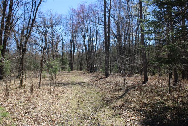 11401 Little George Lake Road, Gladwin, MI 48624