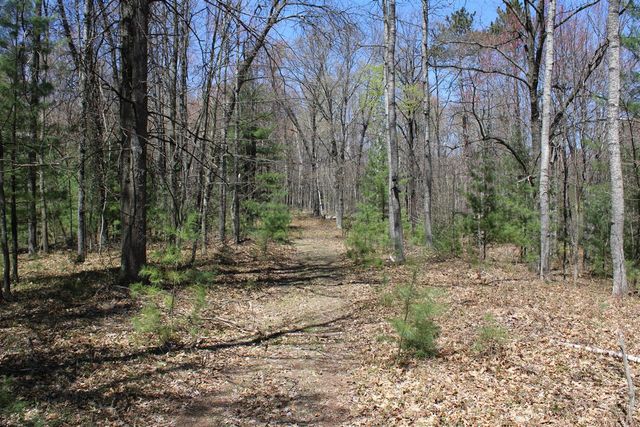 11401 Little George Lake Road, Gladwin, MI 48624
