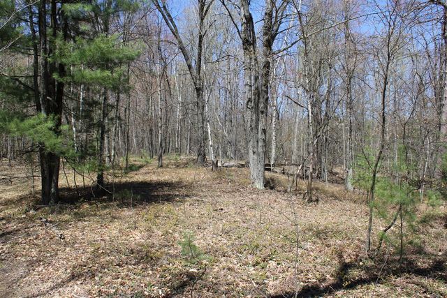 11401 Little George Lake Road, Gladwin, MI 48624