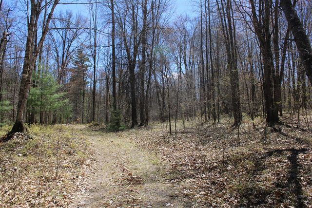11401 Little George Lake Road, Gladwin, MI 48624