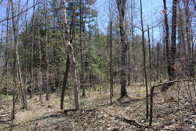 11401 Little George Lake Road, Gladwin, MI 48624