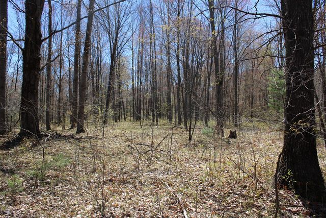 11401 Little George Lake Road, Gladwin, MI 48624