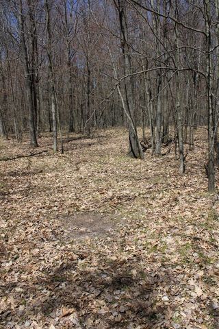 11401 Little George Lake Road, Gladwin, MI 48624
