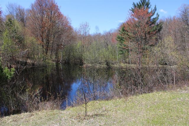 11401 Little George Lake Road, Gladwin, MI 48624