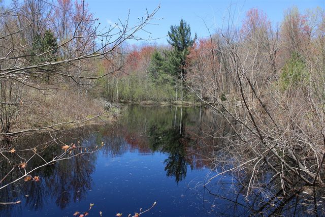 11401 Little George Lake Road, Gladwin, MI 48624