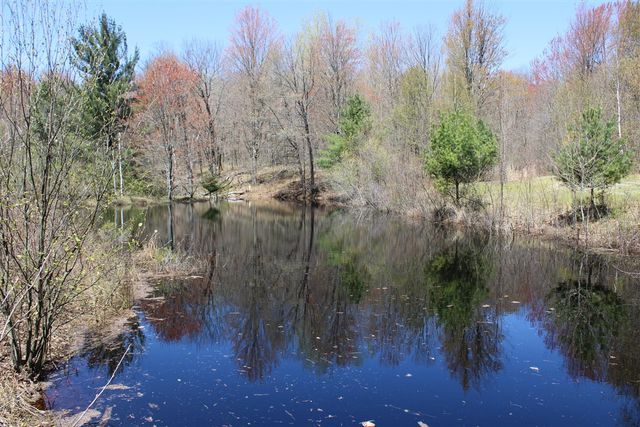 11401 Little George Lake Road, Gladwin, MI 48624