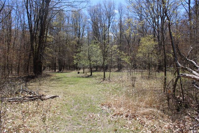 11401 Little George Lake Road, Gladwin, MI 48624