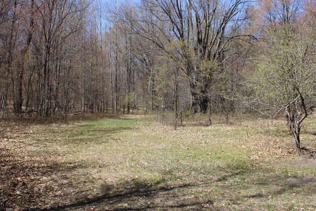 11401 Little George Lake Road, Gladwin, MI 48624