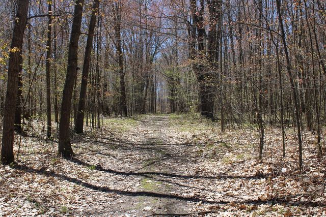 11401 Little George Lake Road, Gladwin, MI 48624