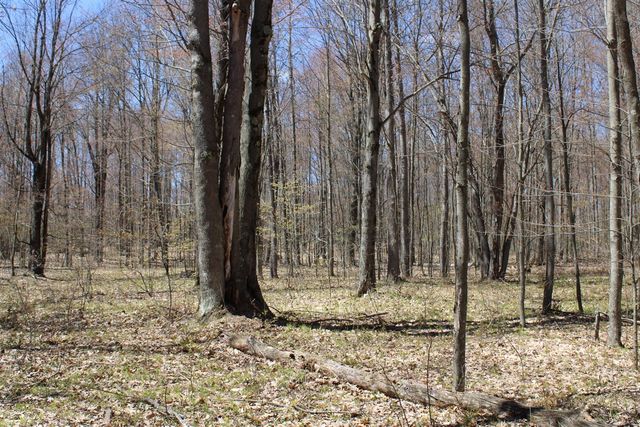 11401 Little George Lake Road, Gladwin, MI 48624