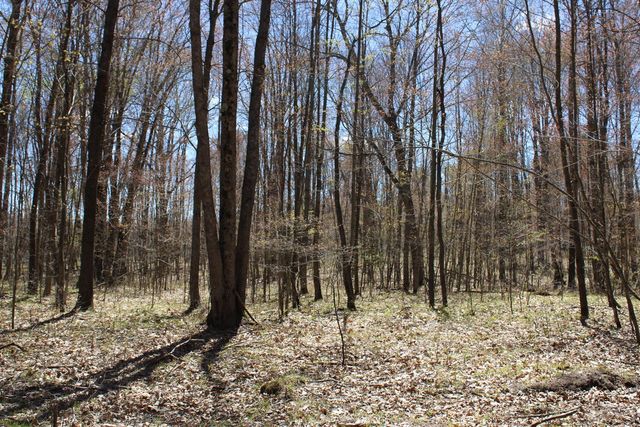 11401 Little George Lake Road, Gladwin, MI 48624