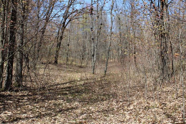 11401 Little George Lake Road, Gladwin, MI 48624