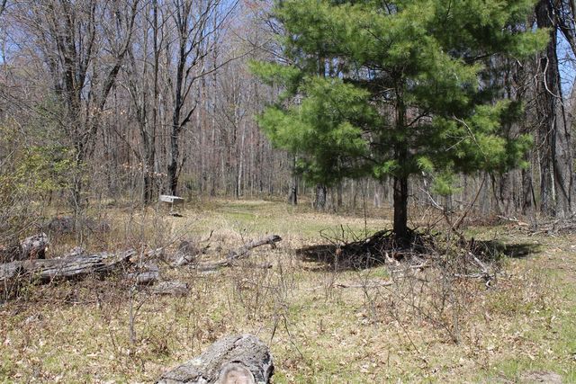 11401 Little George Lake Road, Gladwin, MI 48624