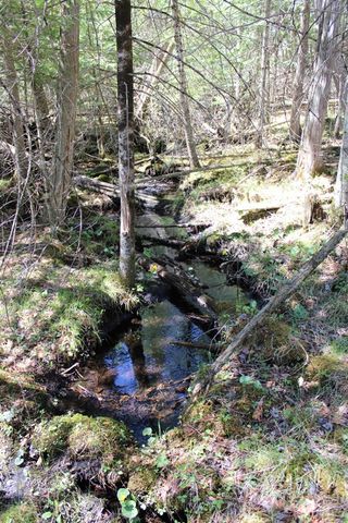 11401 Little George Lake Road, Gladwin, MI 48624