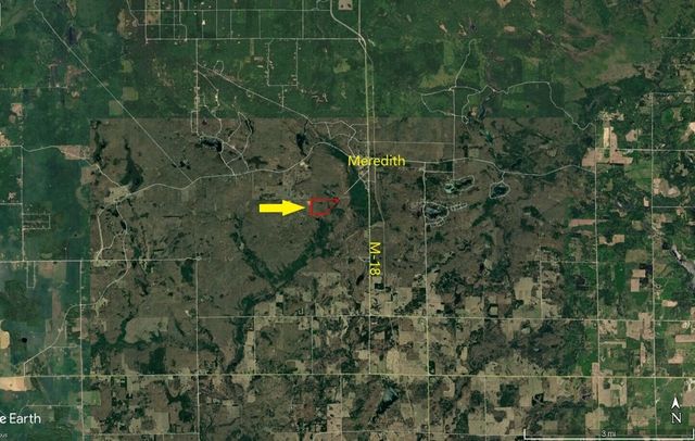 11401 Little George Lake Road, Gladwin, MI 48624