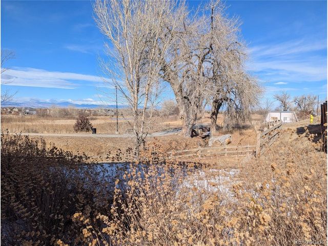 14147 Jackson St, Thornton, CO 80602