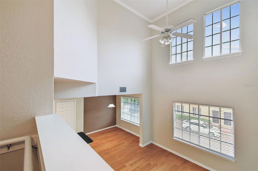 Image 20 of property listing at 119 BEACH HAVEN LANE, Tampa, FL 33609