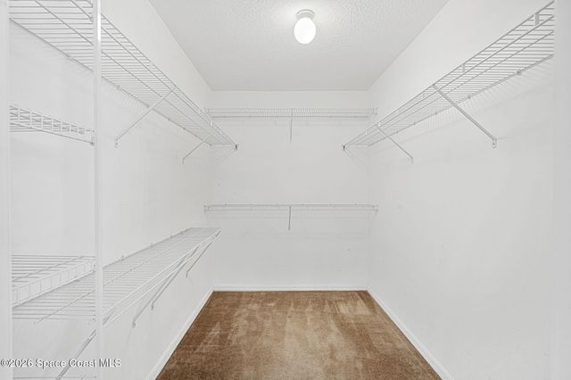 3325 Burdock Avenue, Melbourne, FL 32904