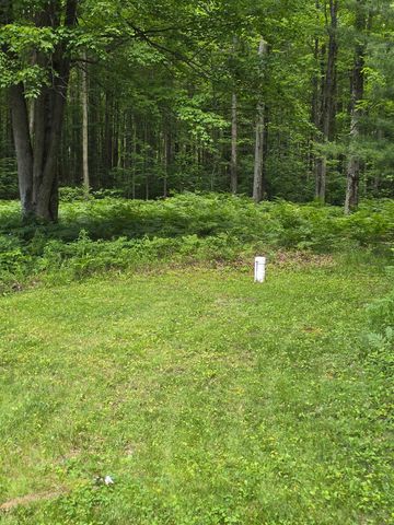 5738 Roehrs Road, Beaverton, MI 48612