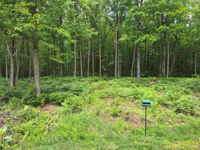 5738 Roehrs Road, Beaverton, MI 48612