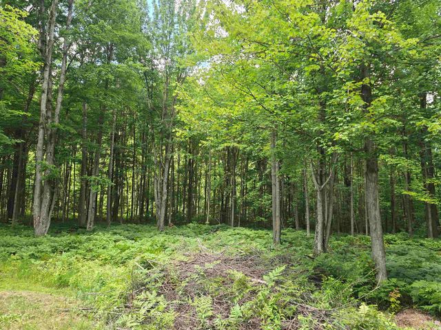 5738 Roehrs Road, Beaverton, MI 48612