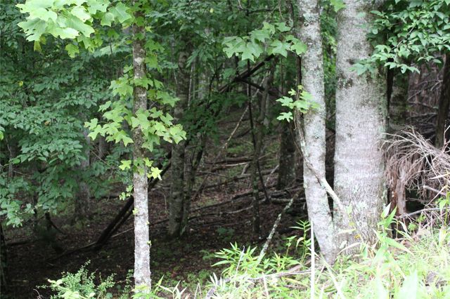 PLT 3 Scenic View Drive, Green Mountain, NC 28740
