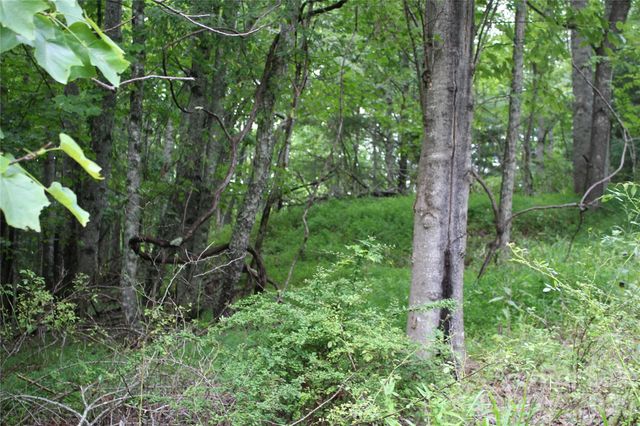 PLT 3 Scenic View Drive, Green Mountain, NC 28740