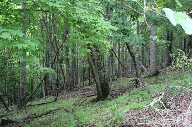PLT 3 Scenic View Drive, Green Mountain, NC 28740
