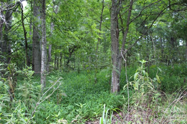 PLT 3 Scenic View Drive, Green Mountain, NC 28740