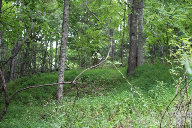 PLT 3 Scenic View Drive, Green Mountain, NC 28740