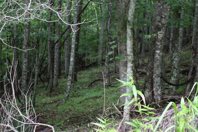 PLT 3 Scenic View Drive, Green Mountain, NC 28740