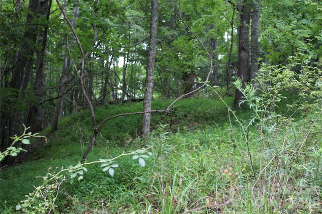 PLT 3 Scenic View Drive, Green Mountain, NC 28740
