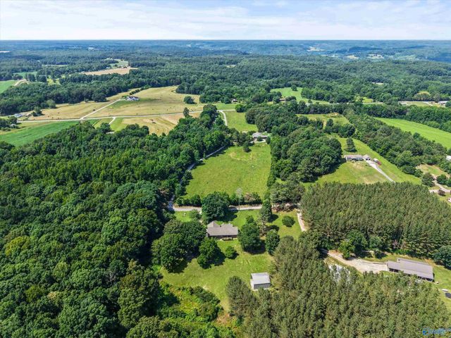11780 Little Coffman Road, Lester, AL 35647