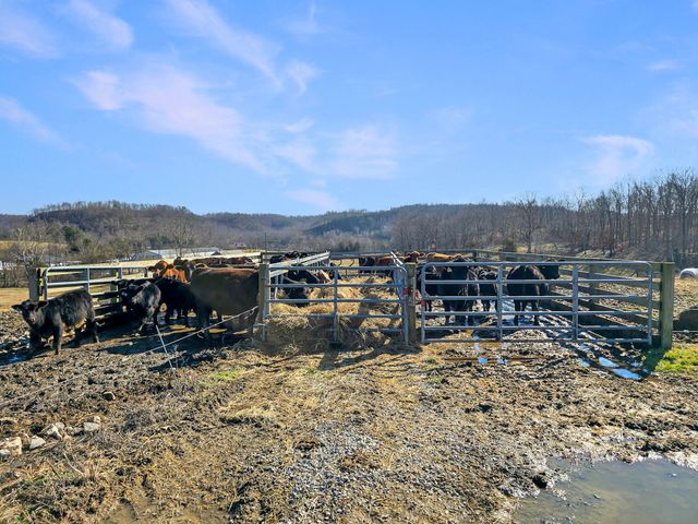 423 Loop Road, Hustonville, KY 40437