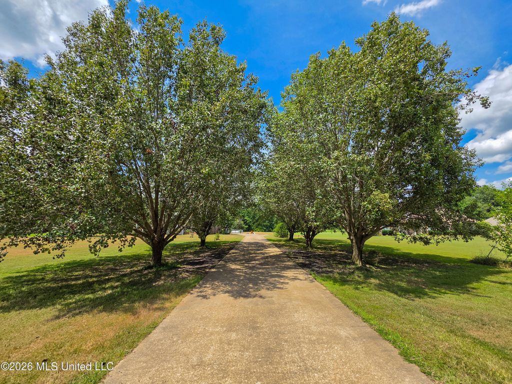 537 Golden Pond Drive, Coldwater, MS 38618 — photo 5