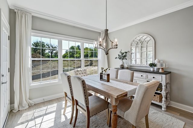 14147 S Sheffield Drive 52, Homer Glen, IL 60491